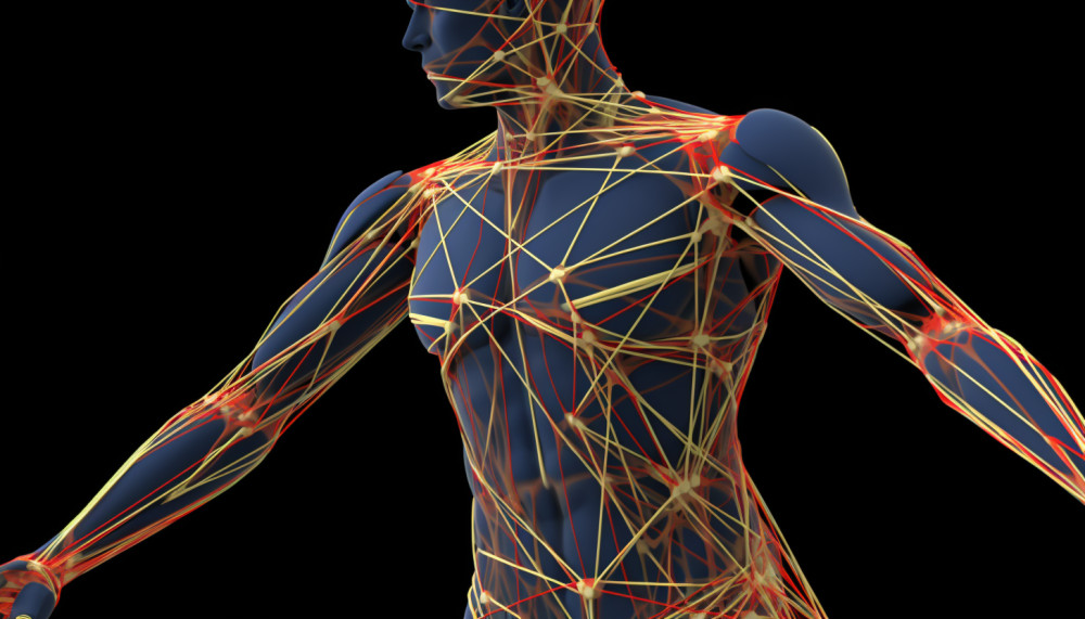 Autres - Le nerf sciatique : comment se manifestent les douleurs et quels sont les exercices pour se soulager ?